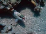 Unterwasser08_002