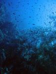 Unterwasser08_004