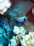 Unterwasser08_005