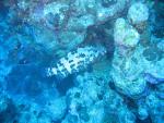 Unterwasser08_054