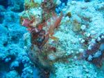 Unterwasser08_055