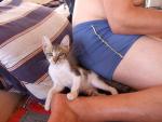 Dahab 08 Kiki (32)